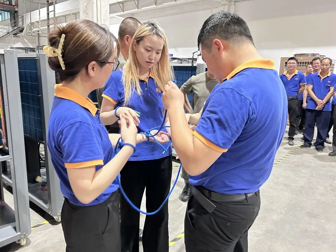 1686295784465818.jpg 4.jpg