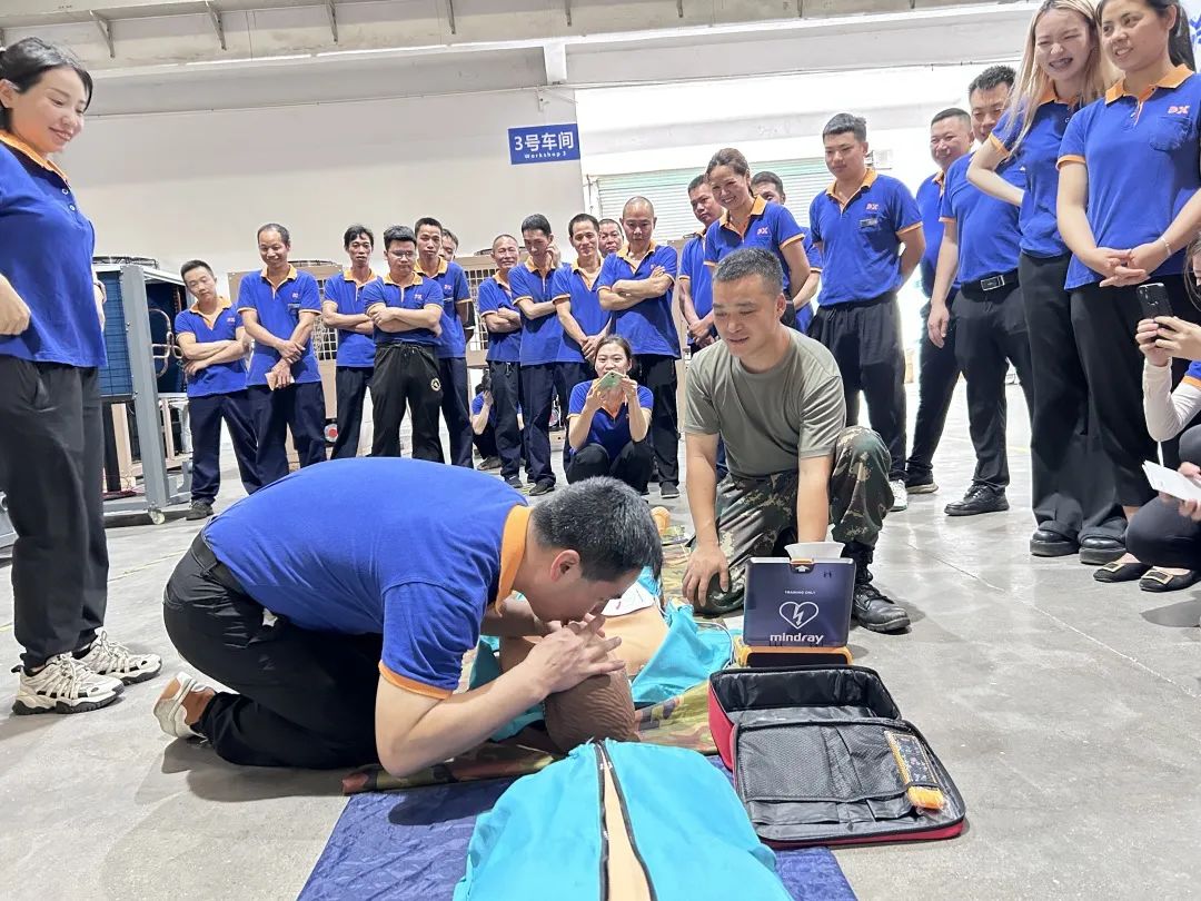 1686295827954583.jpg 10.jpg