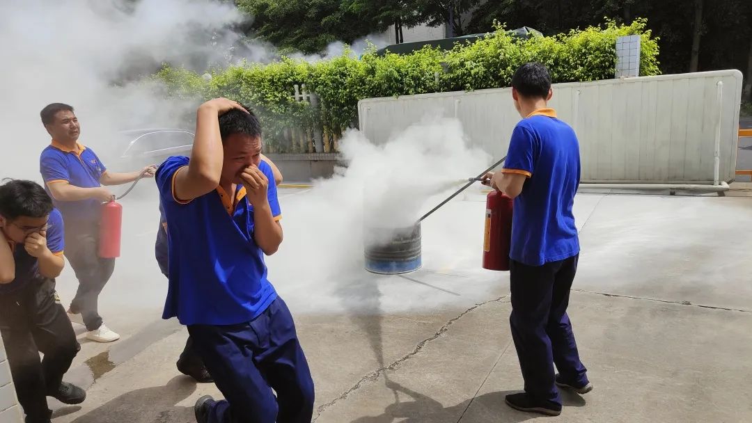 1686295907484075.jpg 16.jpg